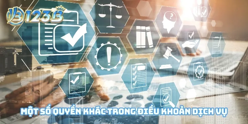 Một số quyền khác trong điều khoản dịch vụ